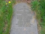 image of grave number 460519